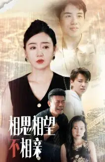 《相思相望不相亲》：中年爱情的真实写照，爱与责任的抉择，情感的深度碰撞！